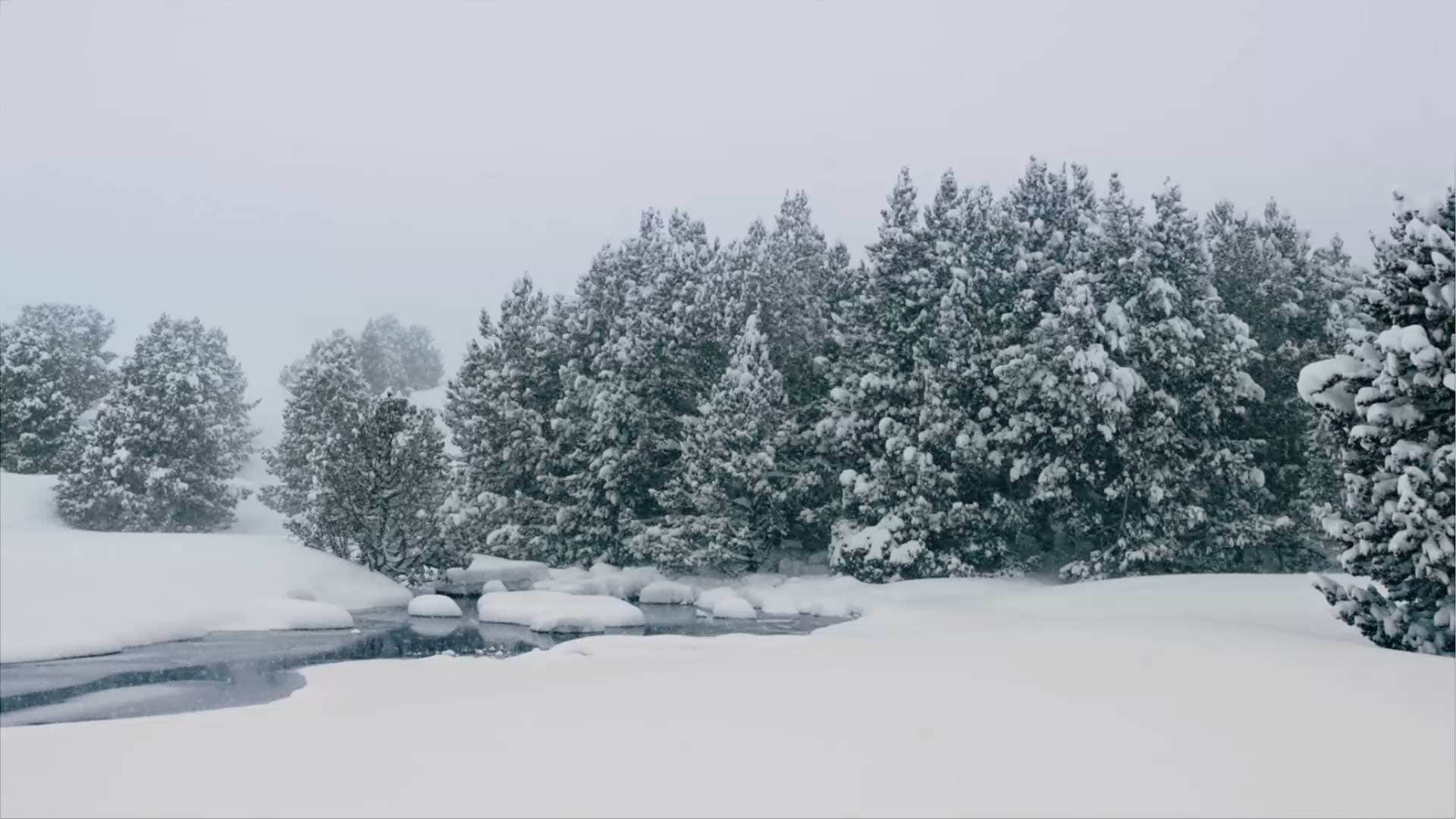 Pur Pirineu Nevada